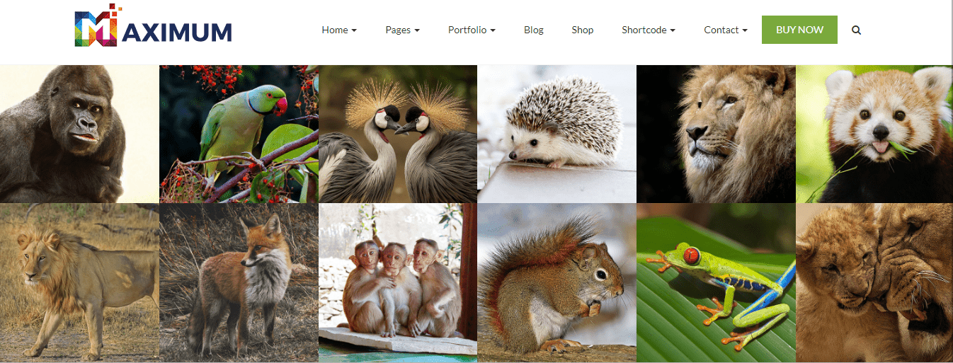 image gallary