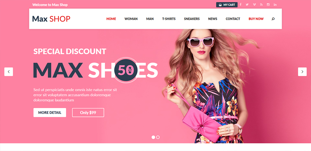 Responsive WordPress Themes