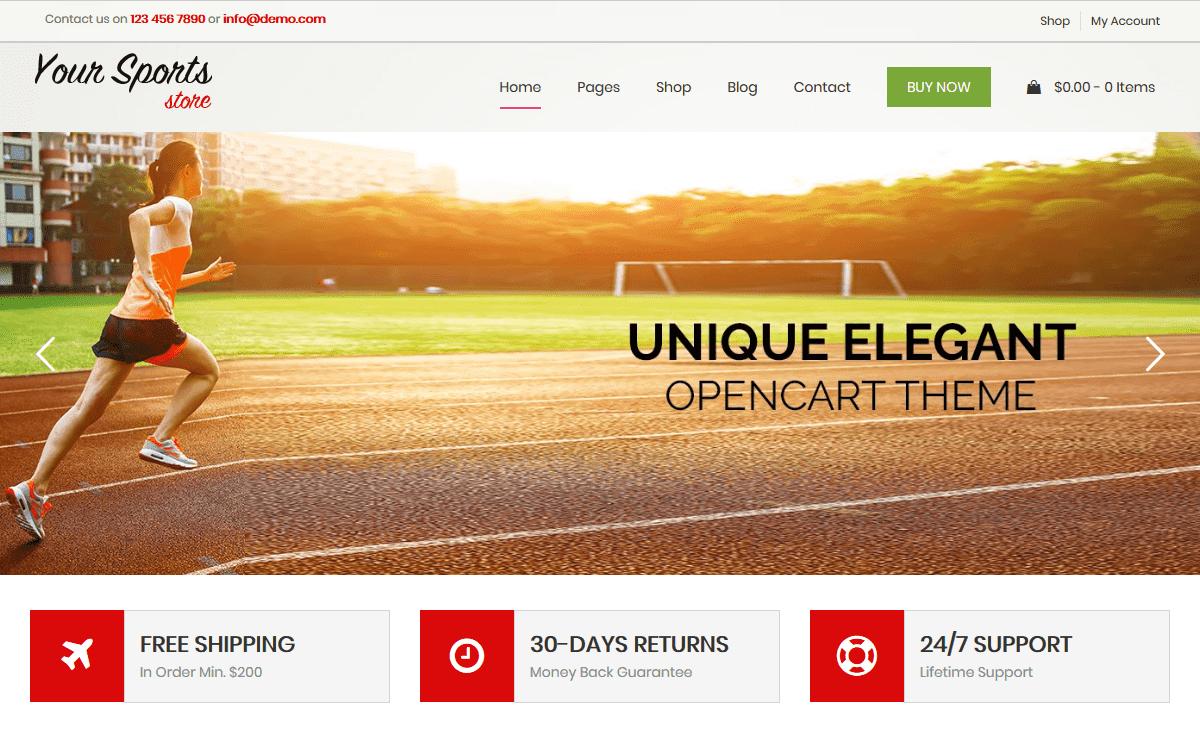 Premium WordPress Themes