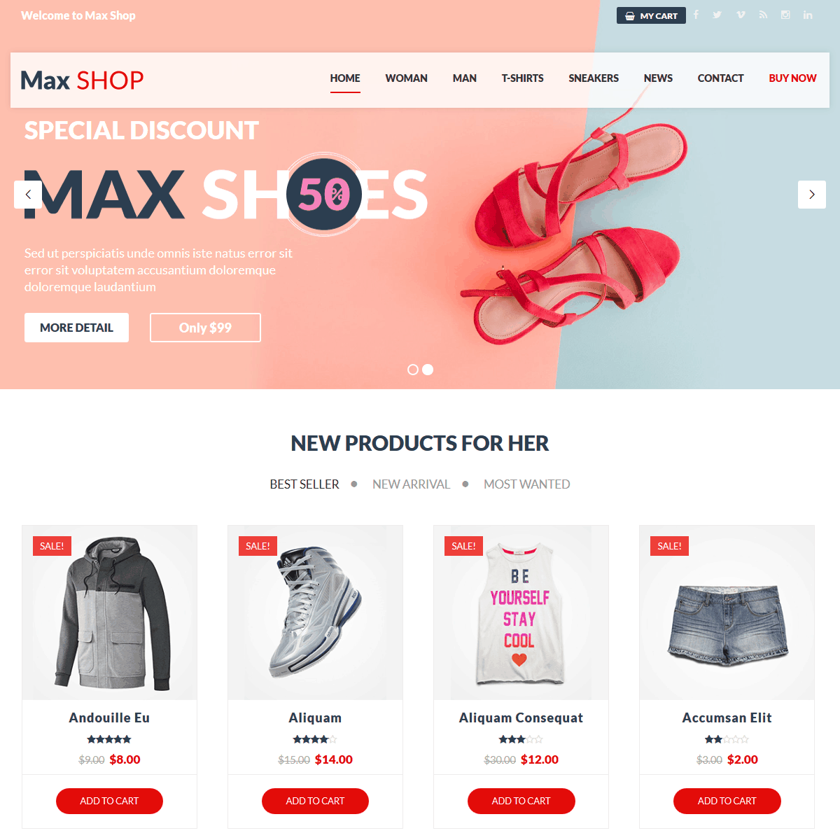Responsive WordPress Themes