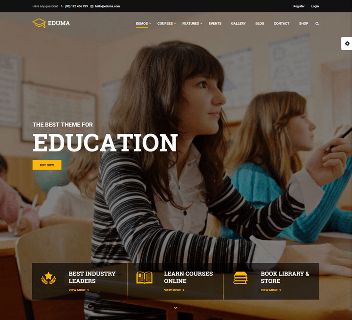 WordPress Themes