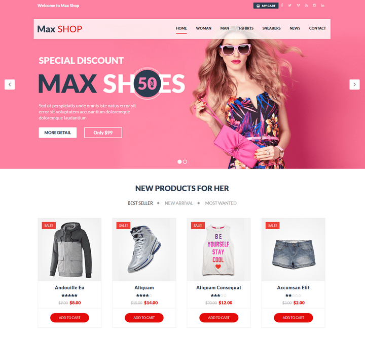 WordPress Themes
