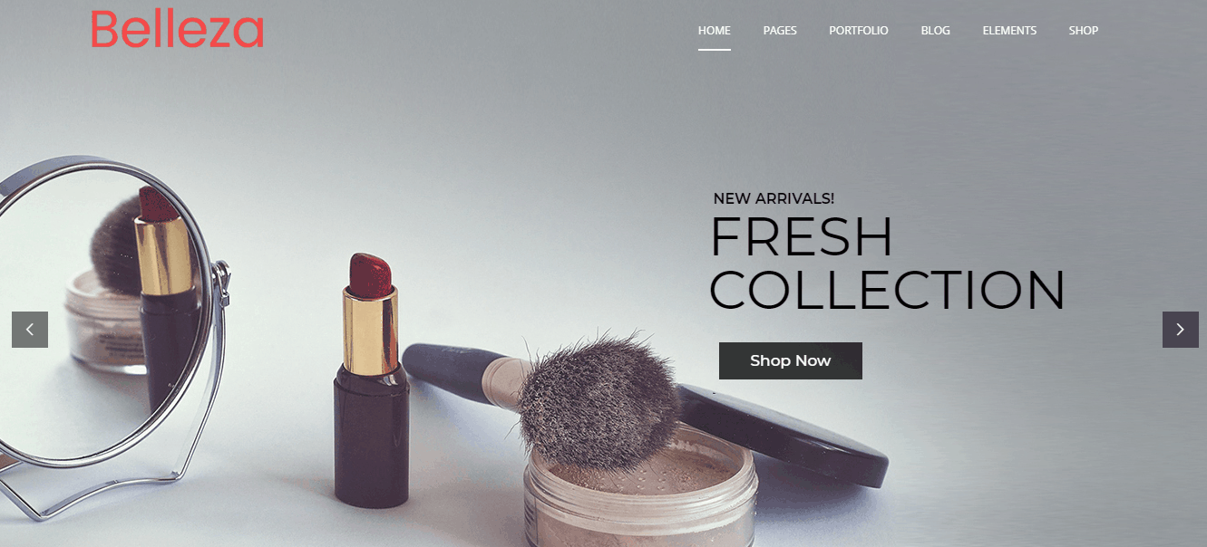WordPress Themes