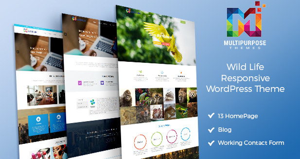 WordPress Themes