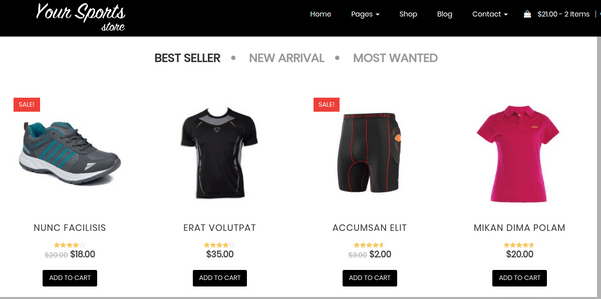 Multipurpose WordPress Themes