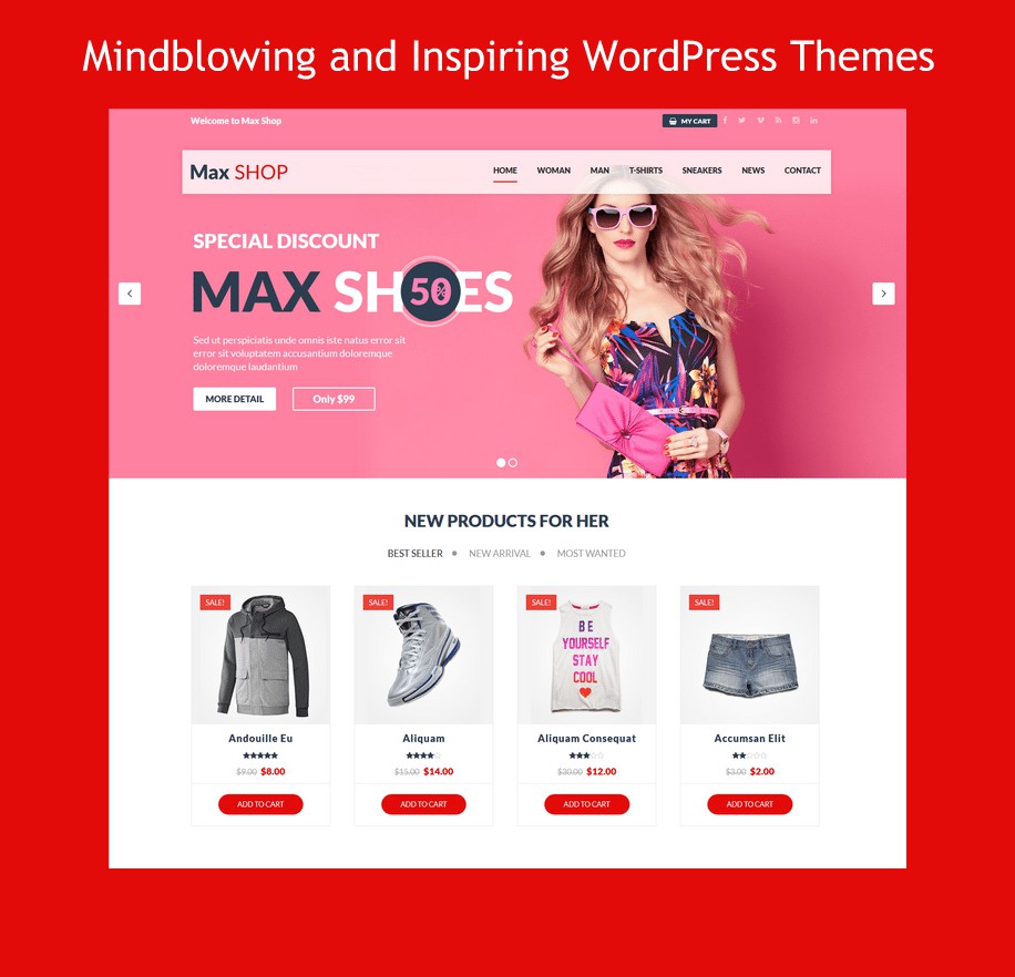 WordPress Themes