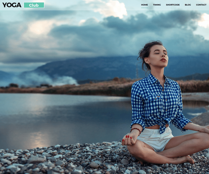 WordPress Themes