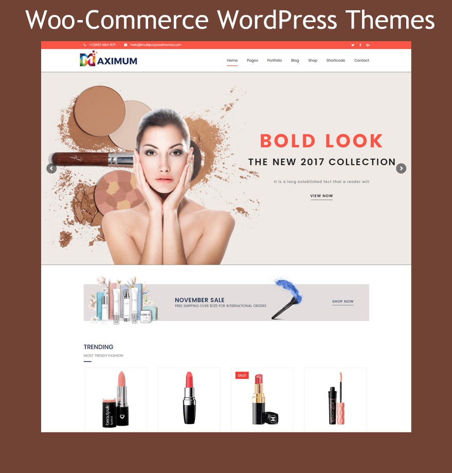 WordPress Themes