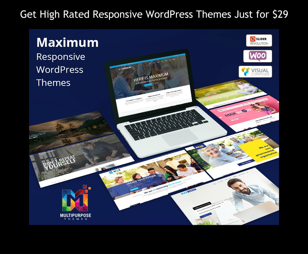 WordPress Themes
