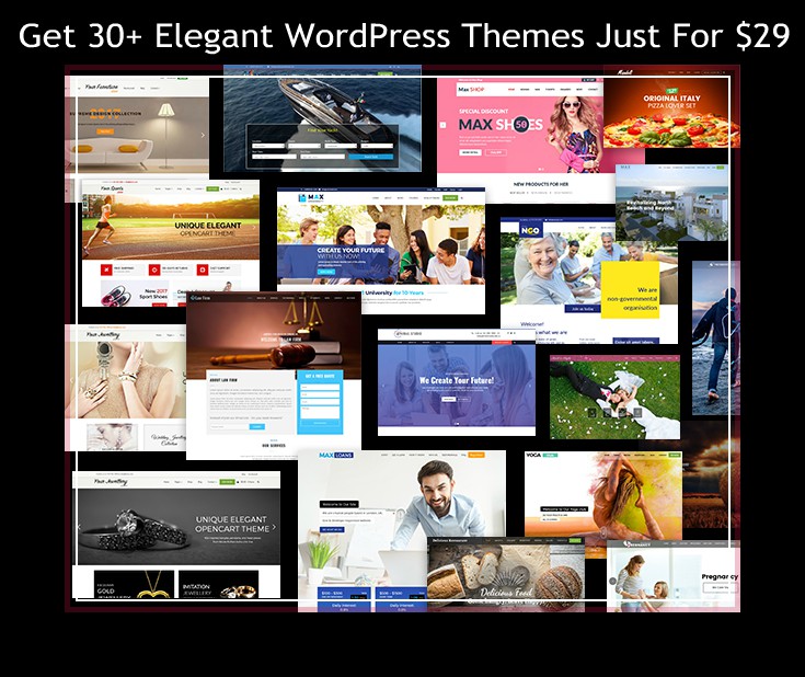 WordPress Themes