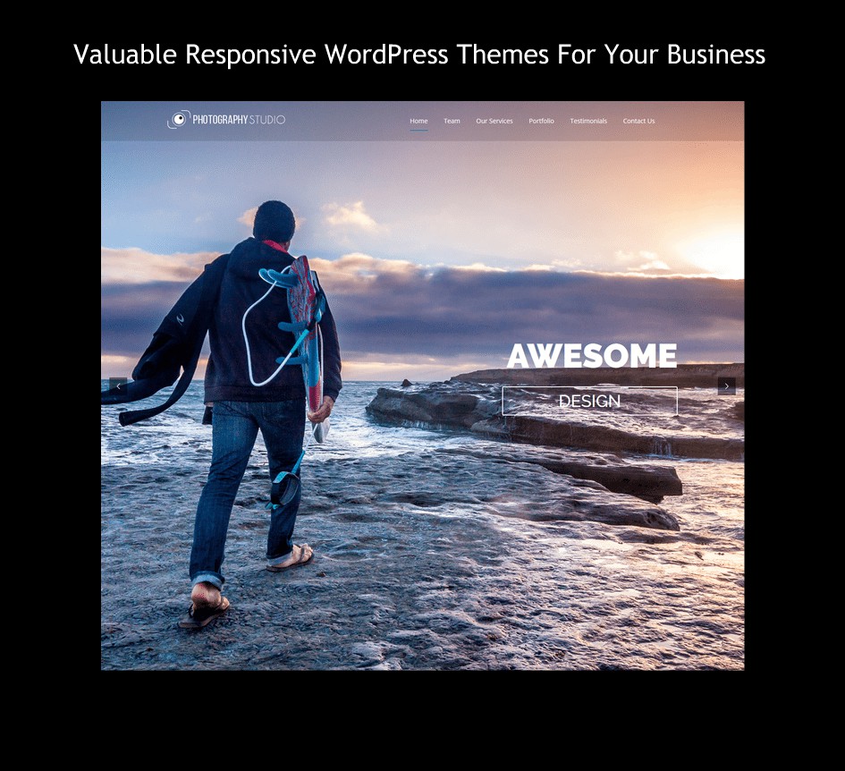 WordPress Themes