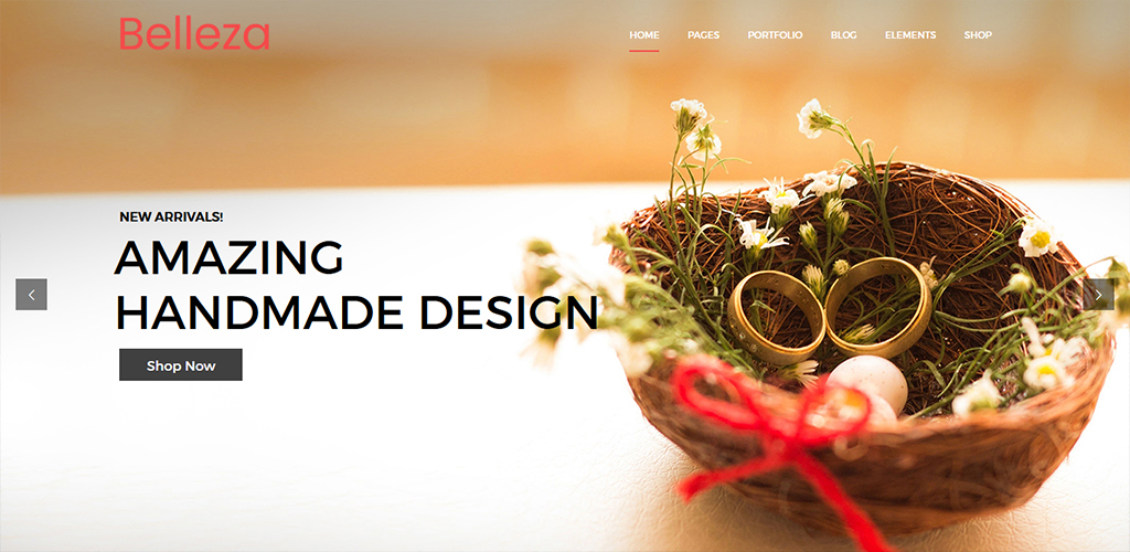 WordPress Themes