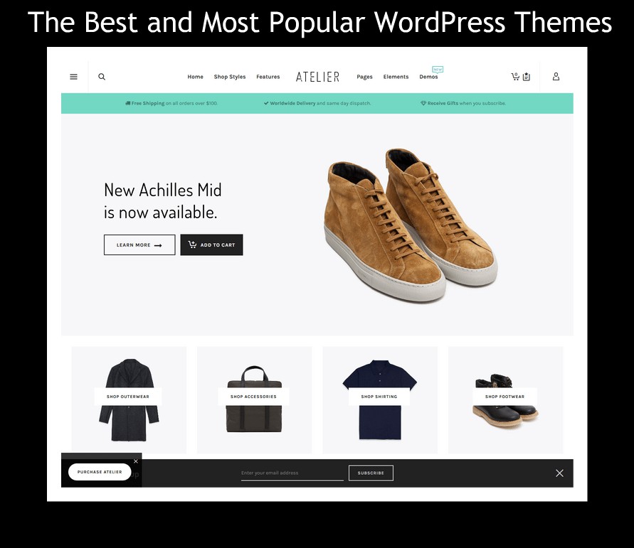 WordPress Themes