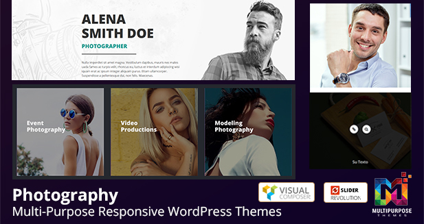 WordPress Themes