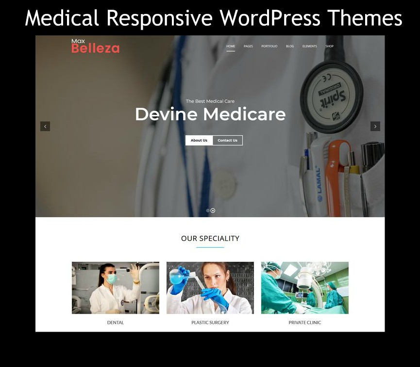 WordPress Themes