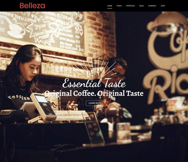 WordPress Themes