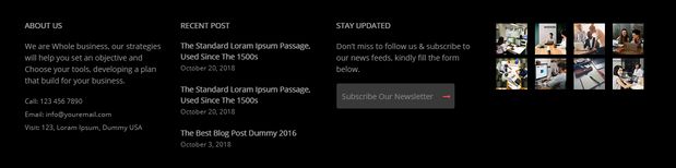 WordPress Themes
