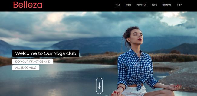 WordPress Themes