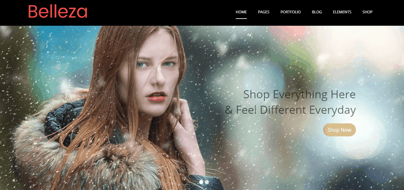 WordPress Themes