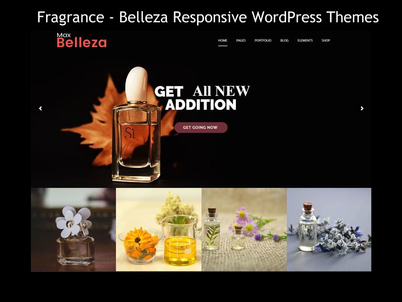 WordPress Themes