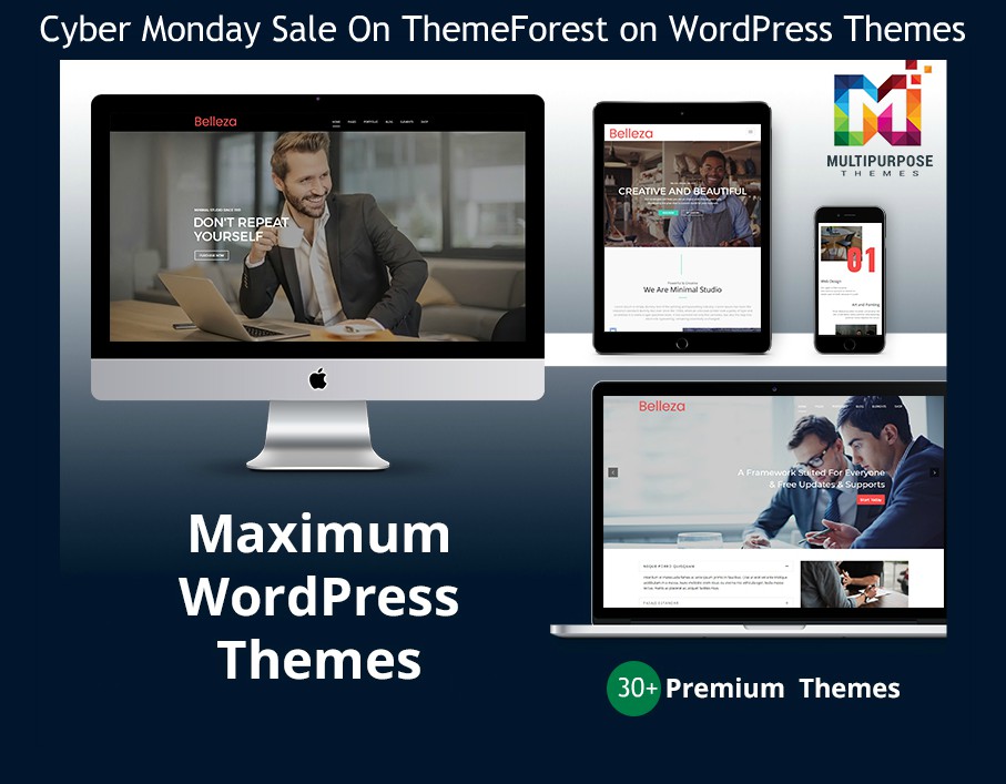 WordPress Themes
