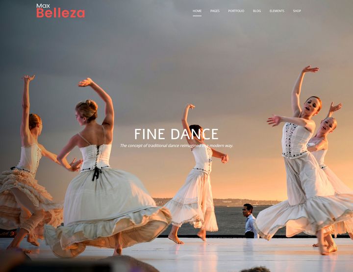 WordPress Themes