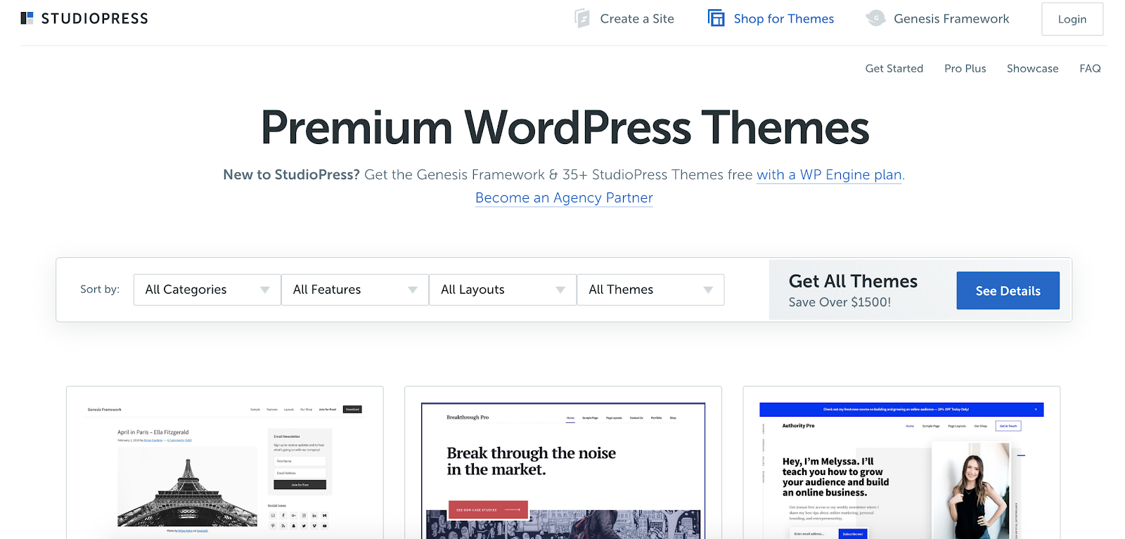 Premium WordPress Themes