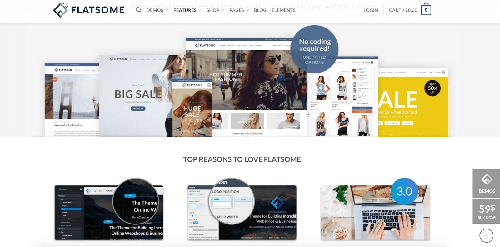 Premium WordPress Themes