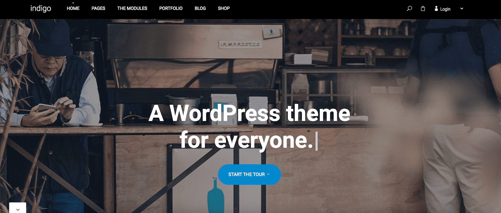 WordPress Themes