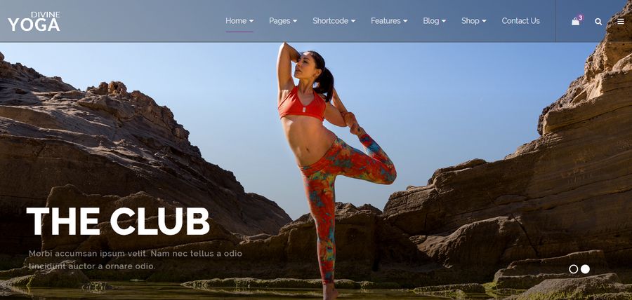 One Page Parallax HTML Template