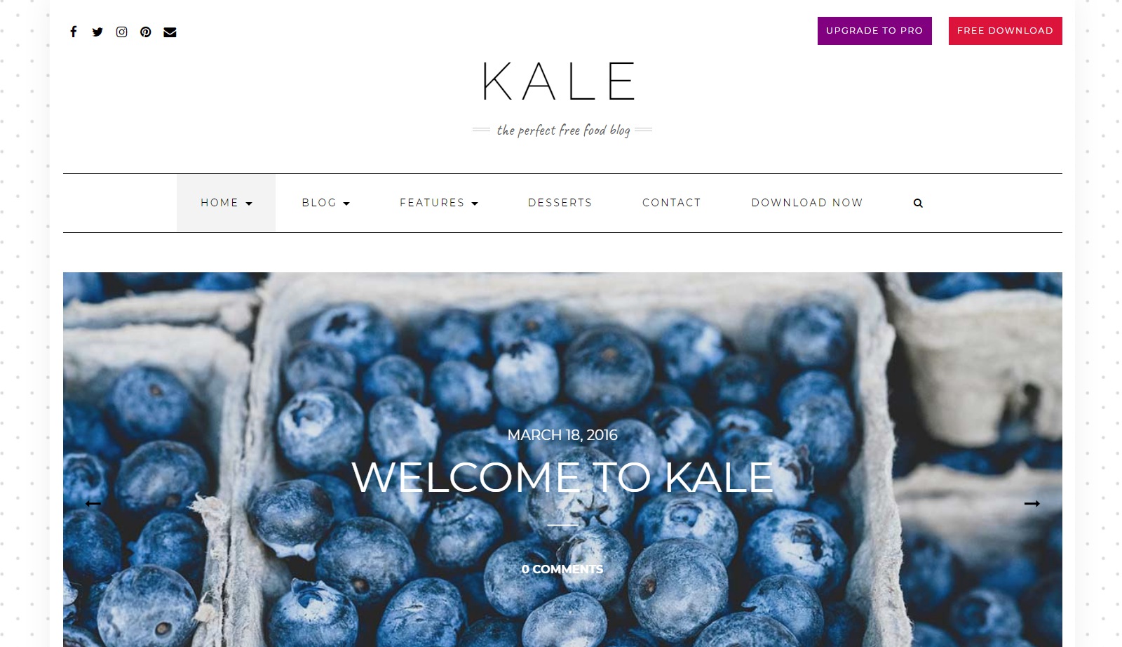 WordPress Themes
