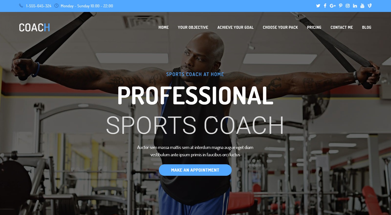 WordPress Themes