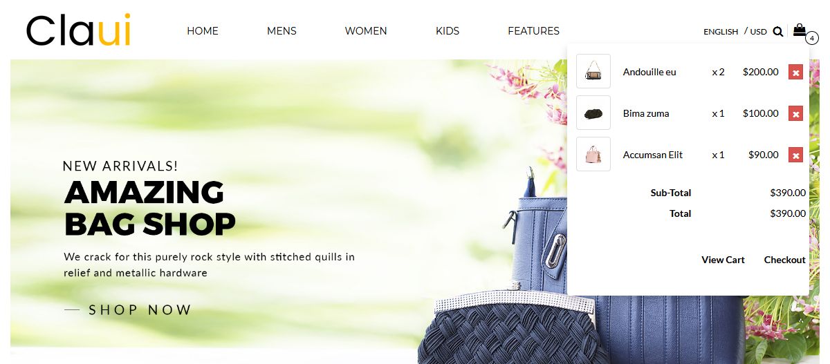 Premium eCommerce Templates