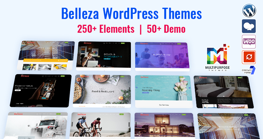 Multipurpose Responsive WordPress Themes