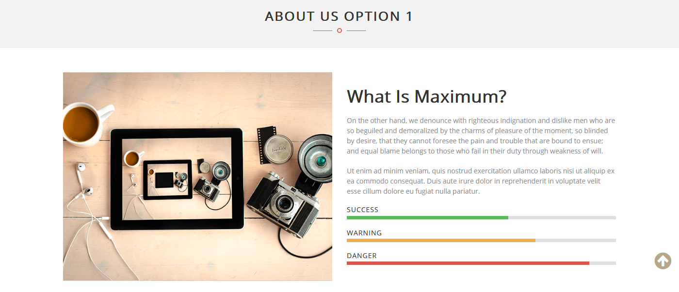 WordPress Themes