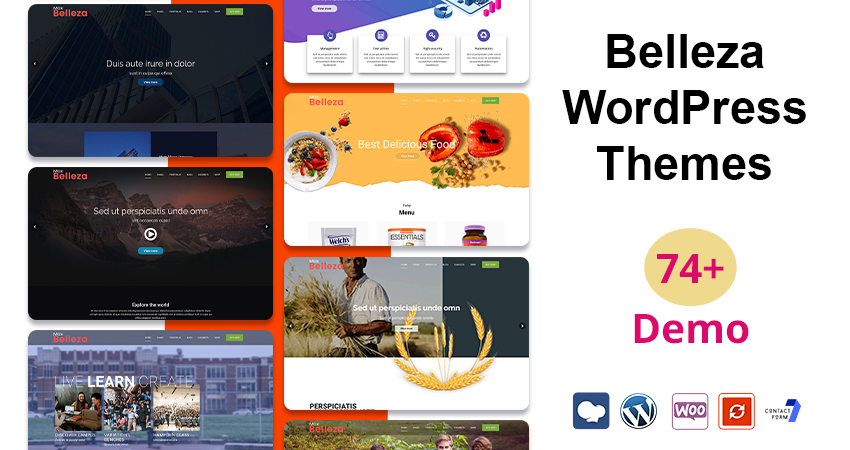 Multipurpose Responsive WordPress Themes | WordPress Themes